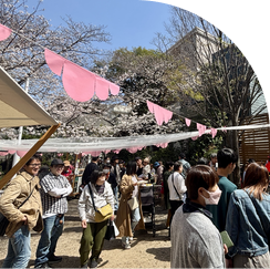 サクラノキテラス マルシェの様子